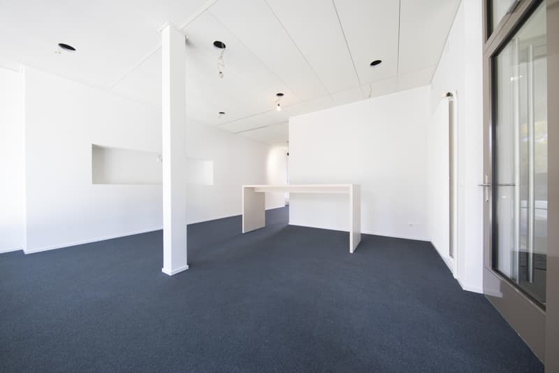 Office property in the center of Olten (2)