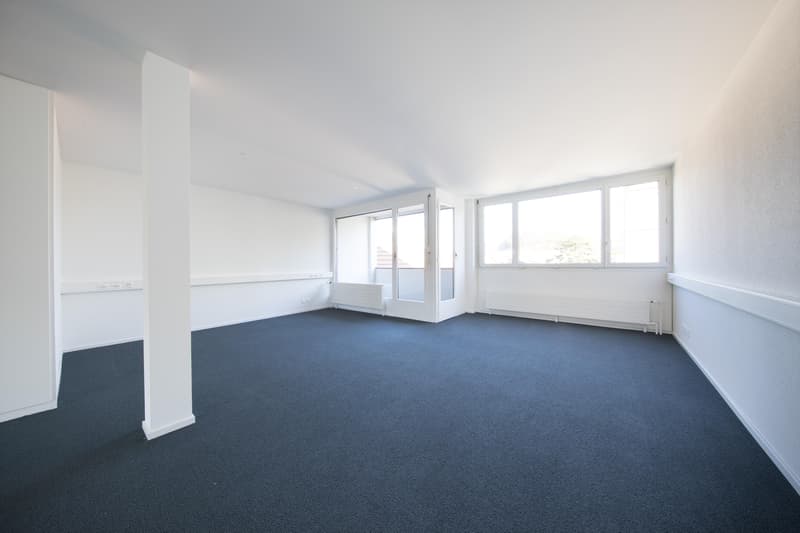Office property in the center of Olten (4)