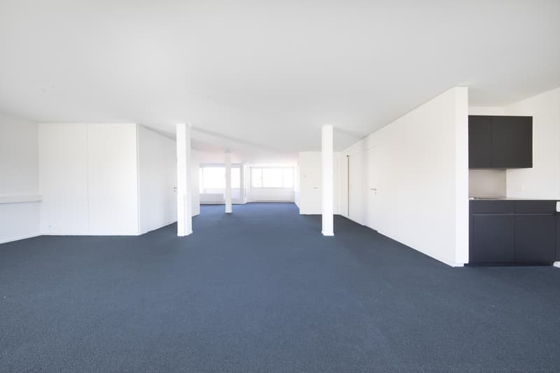 Office property in the center of Olten (3)