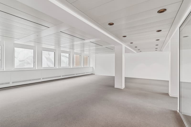 Letzte freie Fläche: Ihr Büro beim Paradeplatz (6)