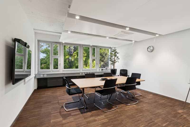 In 3 minutes to Stadelhofen station, your office in Seefeld (3)