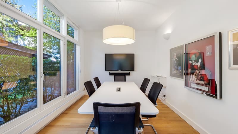 Representative office villa with character and garden! (4)