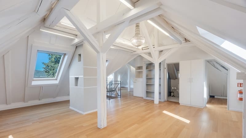 Representative office villa with character and garden! (10)