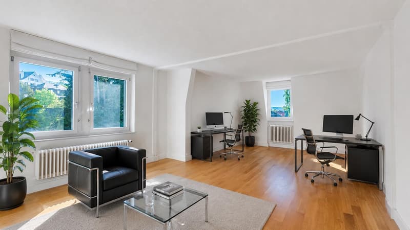 Representative office villa with character and garden! (9)