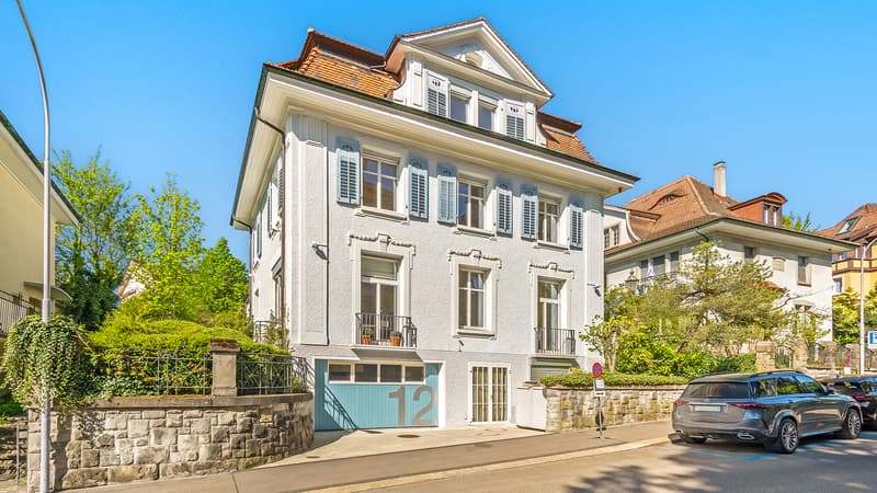 Representative office villa with character and garden! (2)