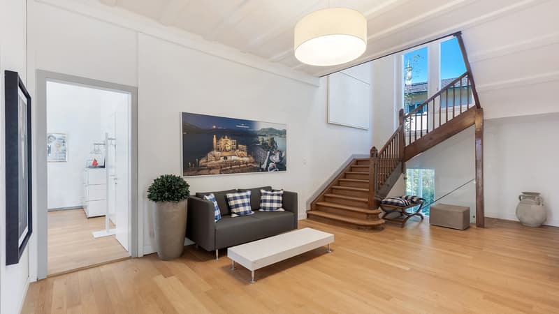 Representative office villa with character and garden! (3)
