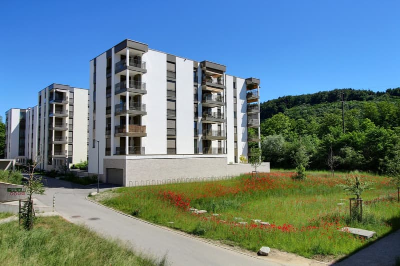A louer: appartement de 2.5 pièces de haut standing (3)