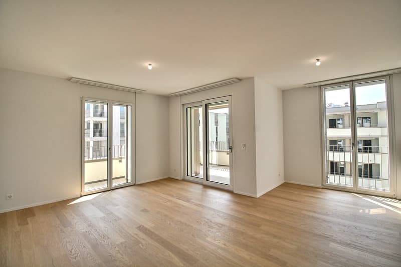 Charming 2.5-room apartment in Marly! (1)