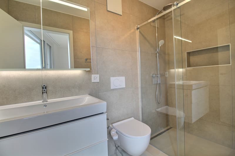 Magnifiques appartements neufs de 4.5 pièces à Lentigny (8)