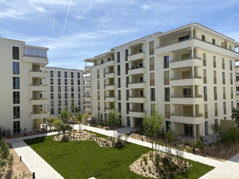 Appartement neuf de 4.5 pièces à louer (4)