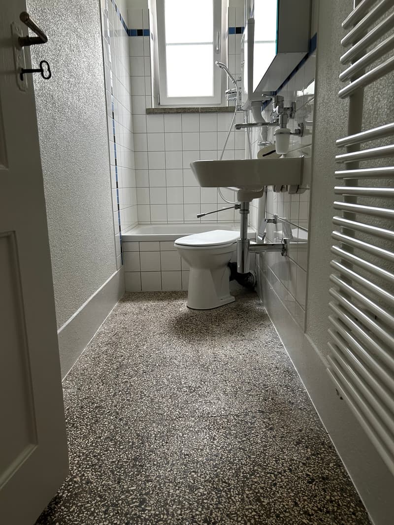 Appartement 3 pièces rénové à neuf dans le quartier de Murifeld avec critères de location* (8)