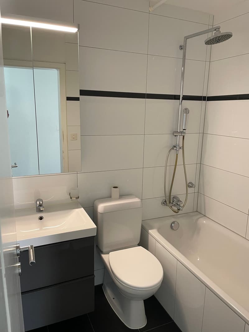 Appartement 3.5 pièces avec critères de location (4)