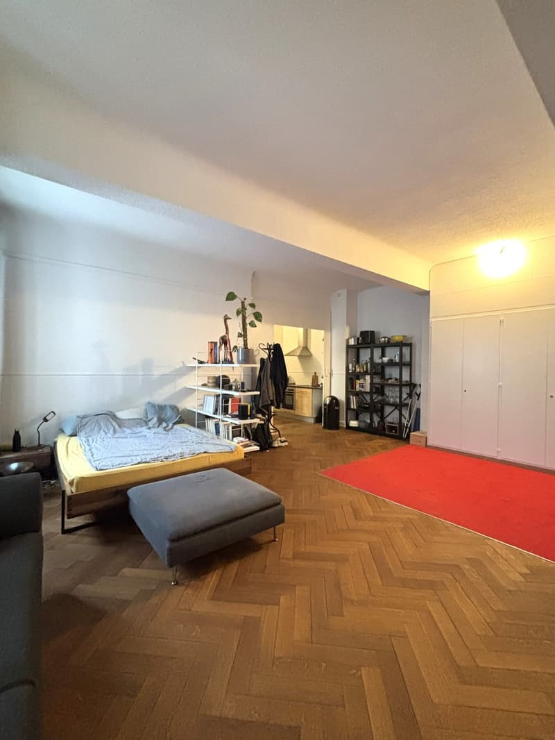 Appartamento 2 camere impressionante in stile loft nel centro storico di Berna (5)