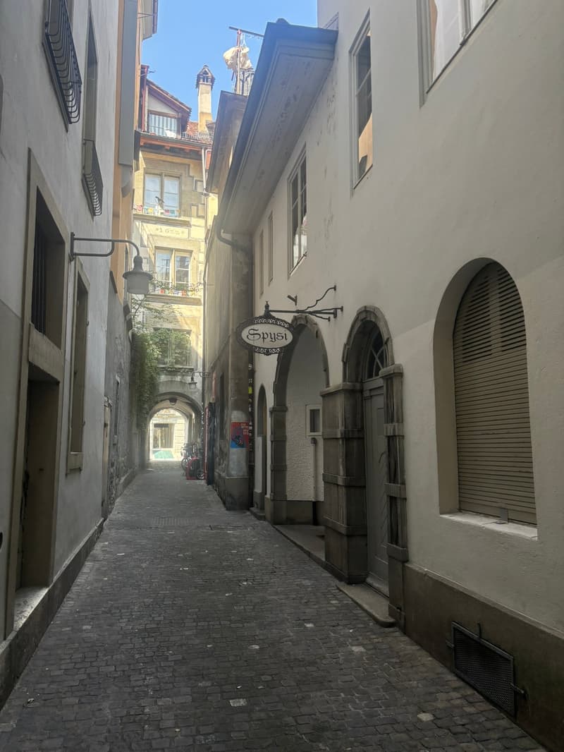 Appartamento 2 camere impressionante in stile loft nel centro storico di Berna (1)