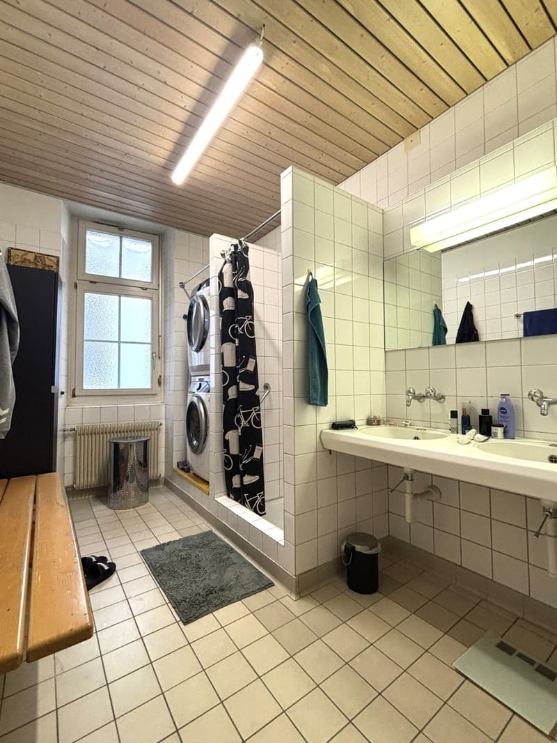 Appartamento 2 camere impressionante in stile loft nel centro storico di Berna (7)