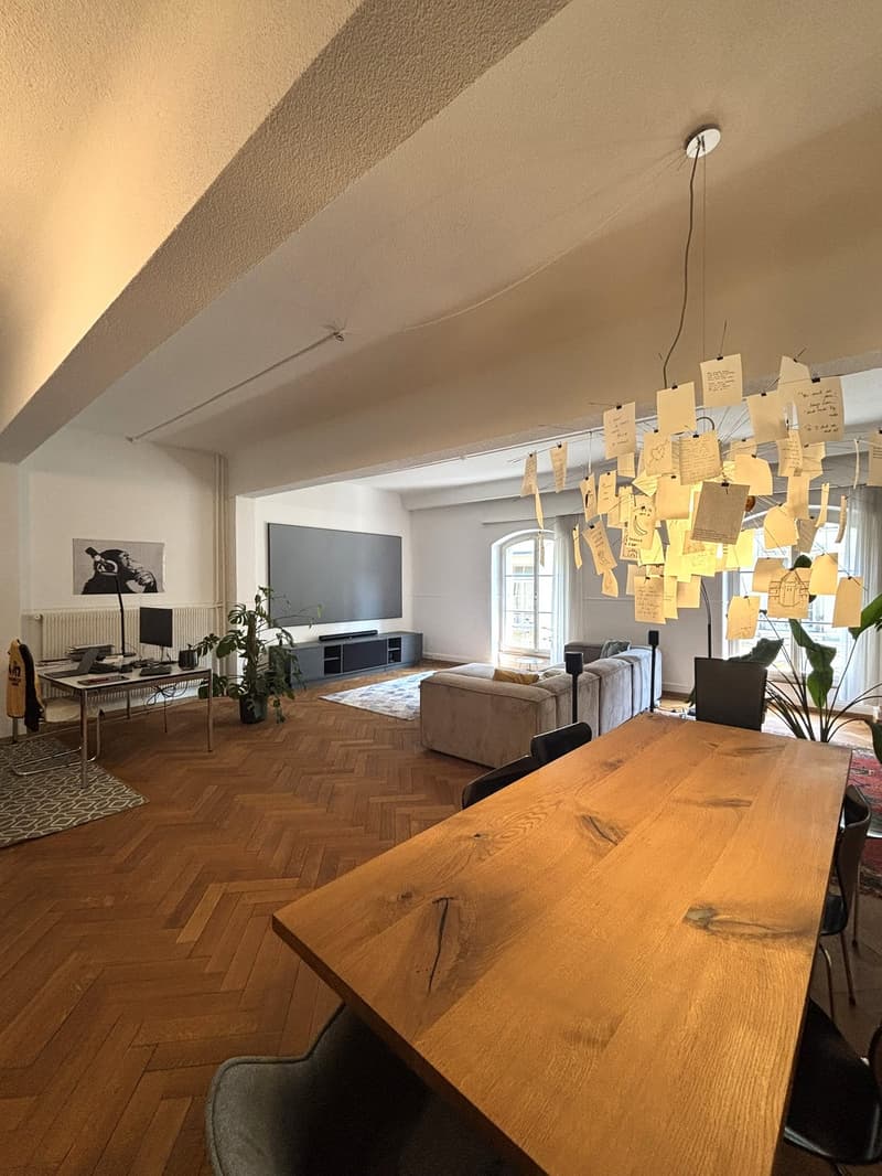 Appartamento 2 camere impressionante in stile loft nel centro storico di Berna (3)