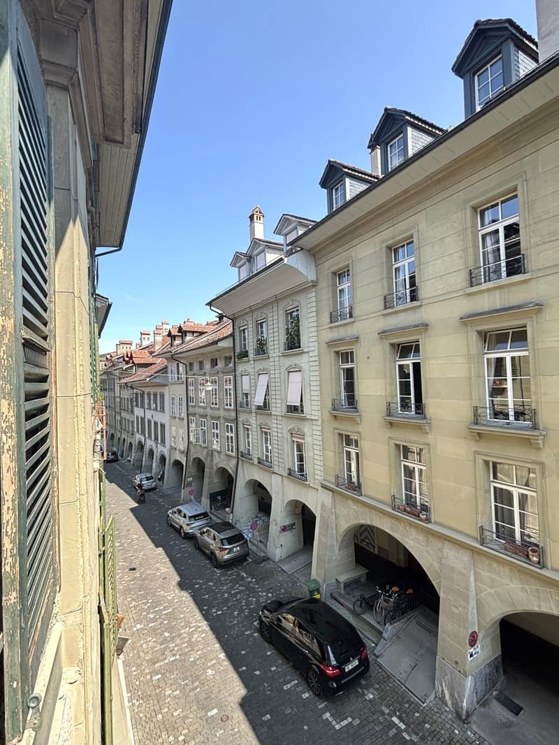 Appartamento 2 camere impressionante in stile loft nel centro storico di Berna (9)