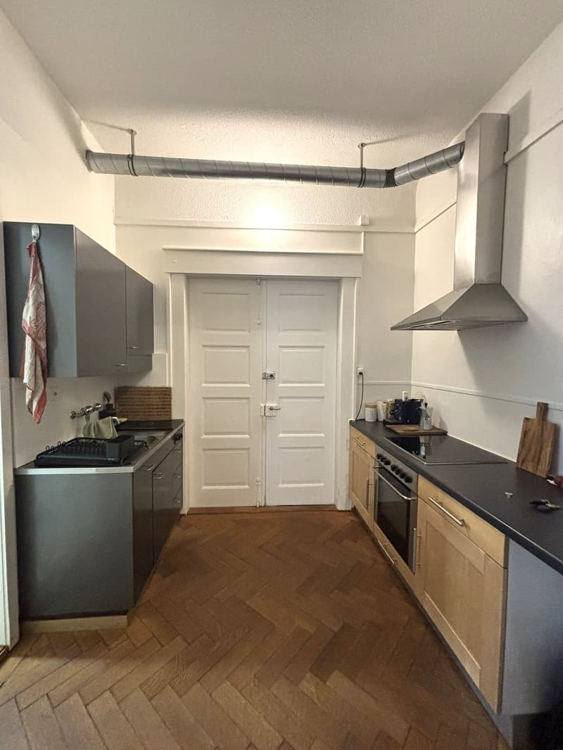 Appartamento 2 camere impressionante in stile loft nel centro storico di Berna (6)