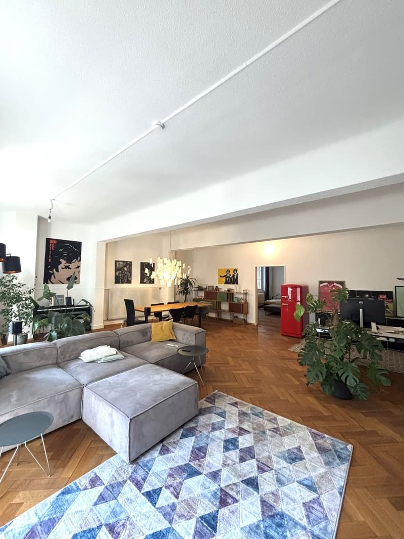 Appartamento 2 camere impressionante in stile loft nel centro storico di Berna (2)