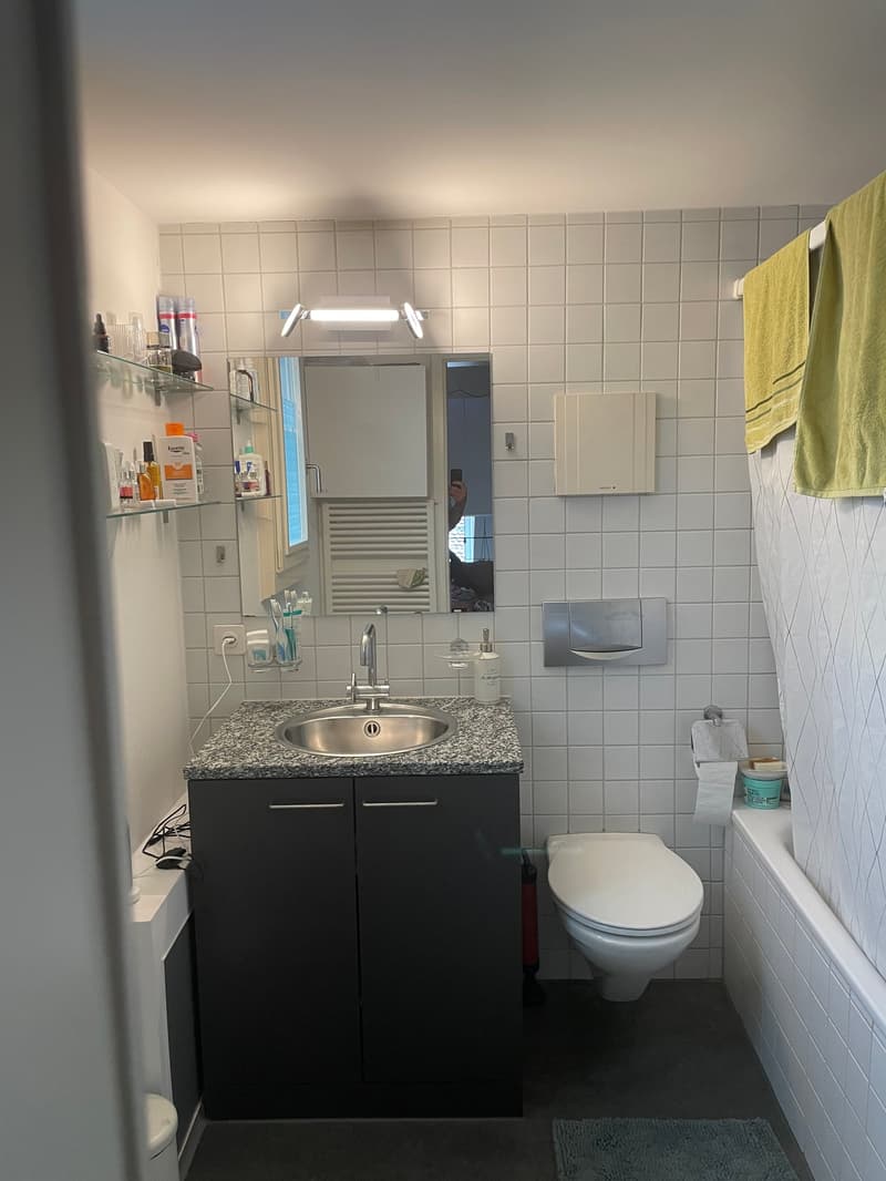 2.5-Zimmer-Triplex-Bijou (4)