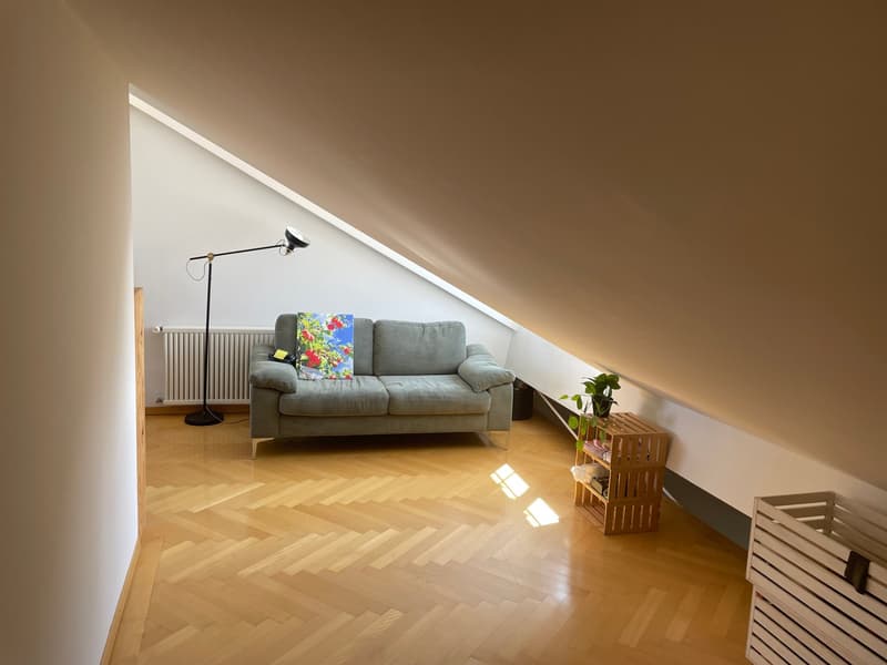 2.5-Zimmer-Triplex-Bijou (8)