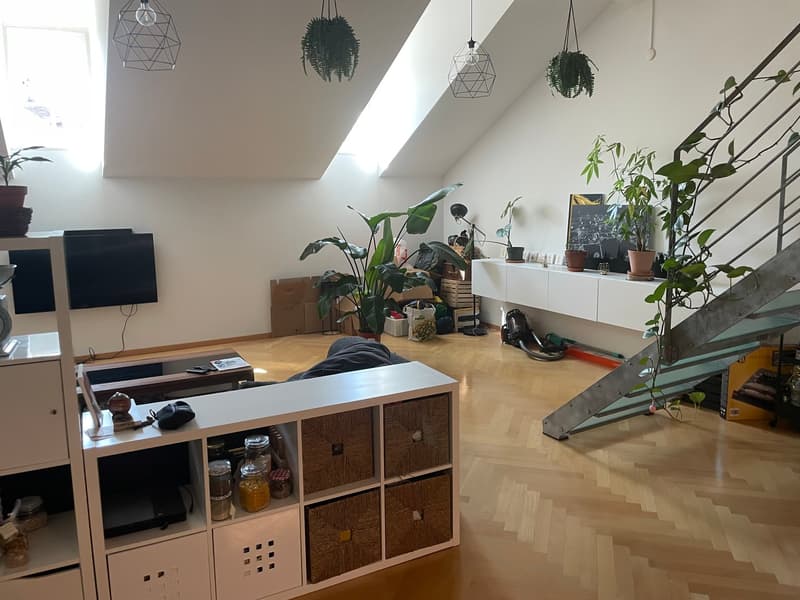 2.5-Zimmer-Triplex-Bijou (7)