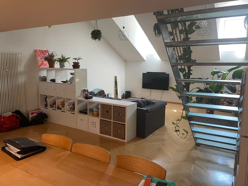 2.5-Zimmer-Triplex-Bijou (6)