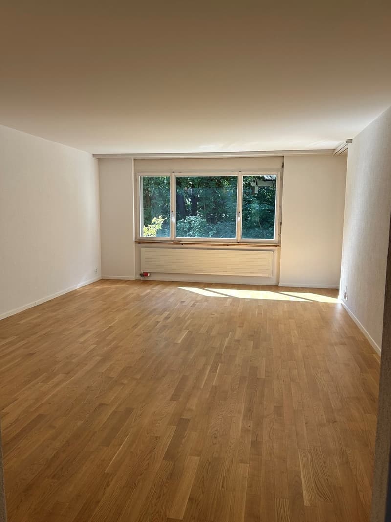 Gemütliche 3-Zimmer-Wohnung mit Balkon in Bern (1)