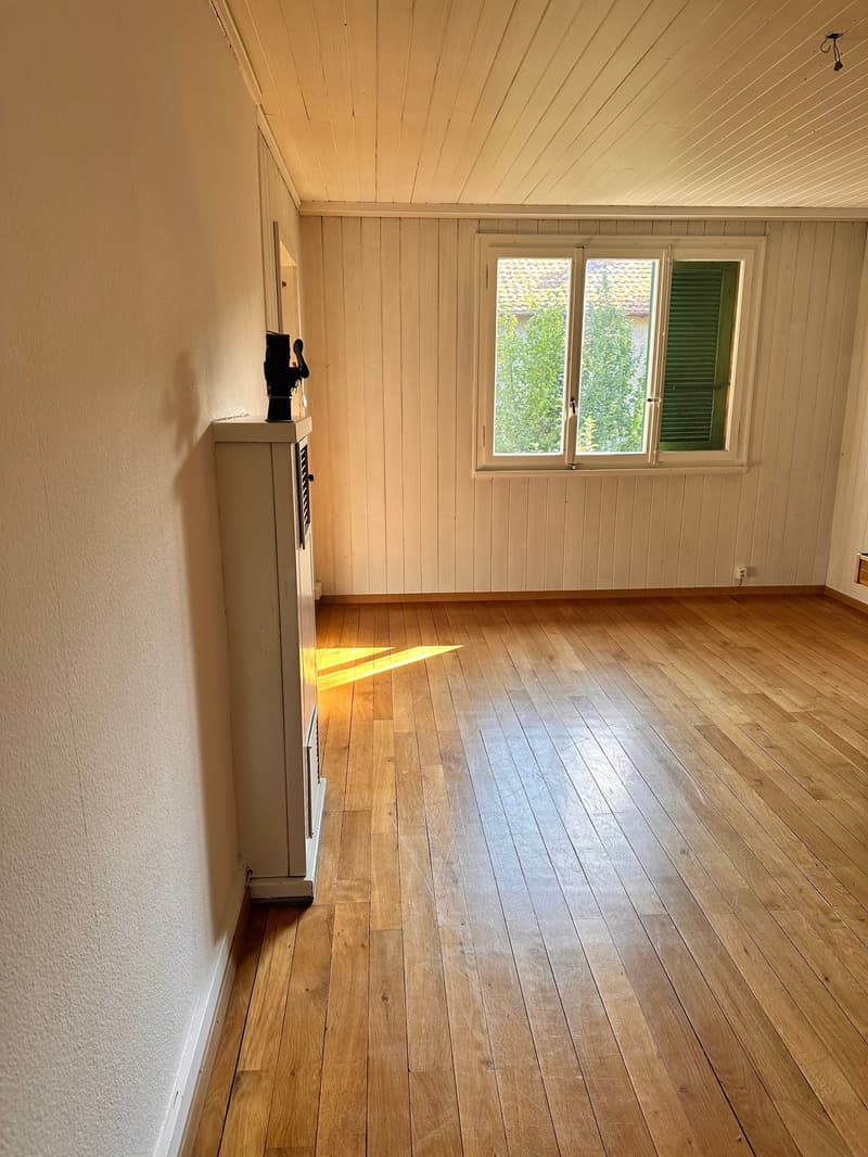Charmante 4-Zimmer-Altbauwohnung mit grossem Garten - mit Vermietungskriterien (5)