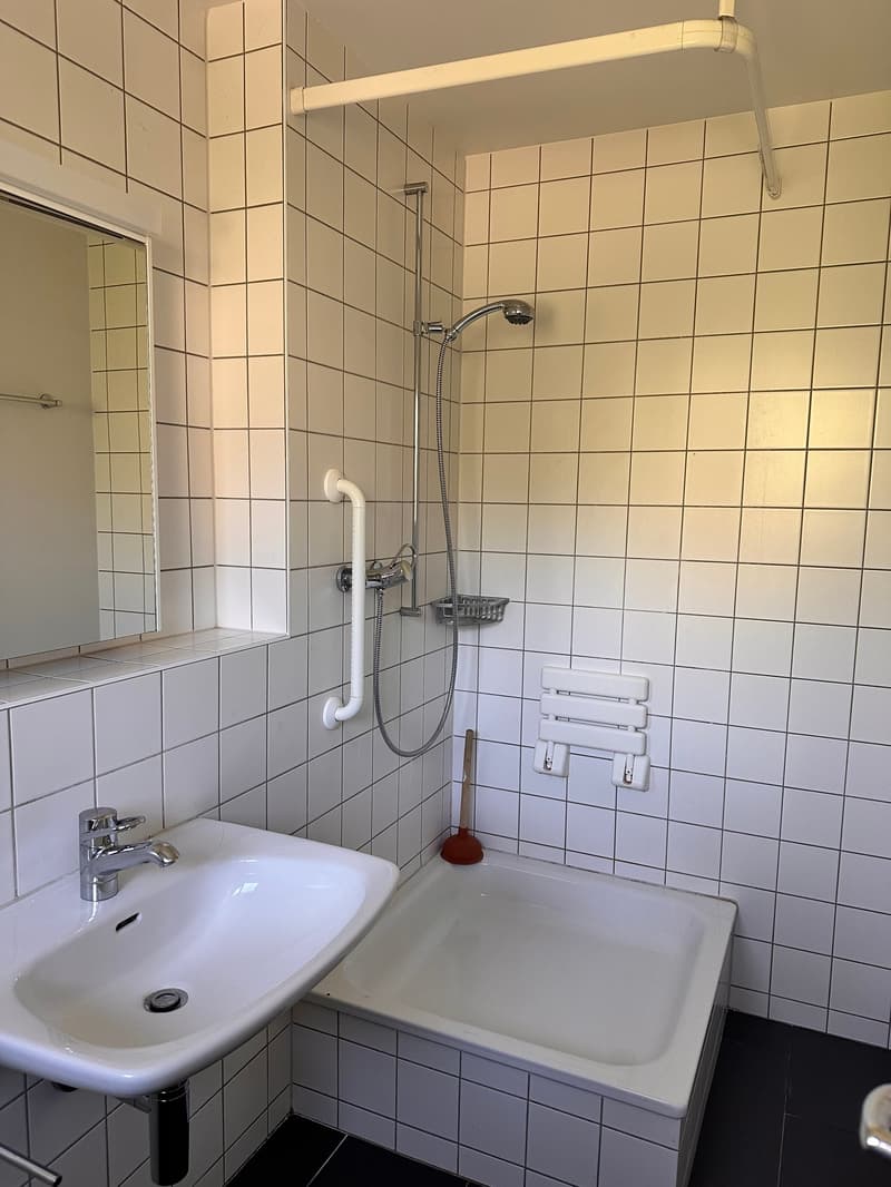 Charmante 4-Zimmer-Altbauwohnung mit grossem Garten - mit Vermietungskriterien (4)