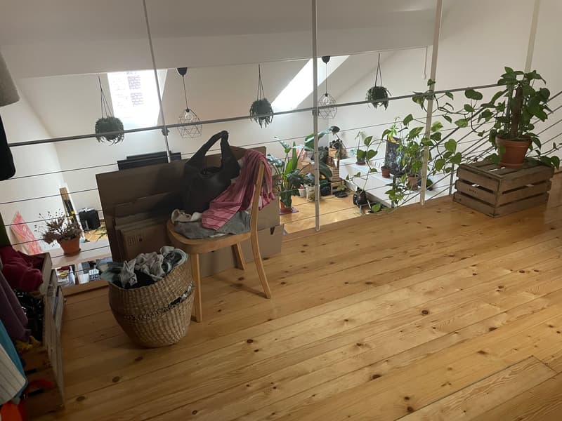 2.5-Zimmer-Triplex-Bijou (10)