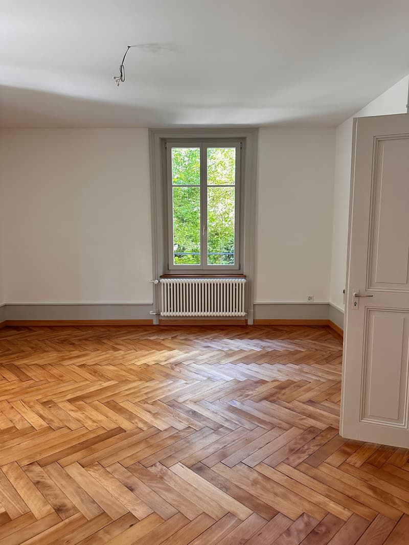 3 x 3-Zimmerwohnungen - Neu sanierte Altbauwohnungen am Hopfenweg (2)
