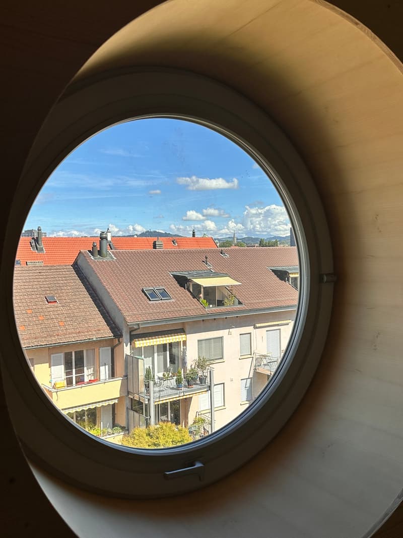 Neue 1-Zimmer-Loftwohnung (1)