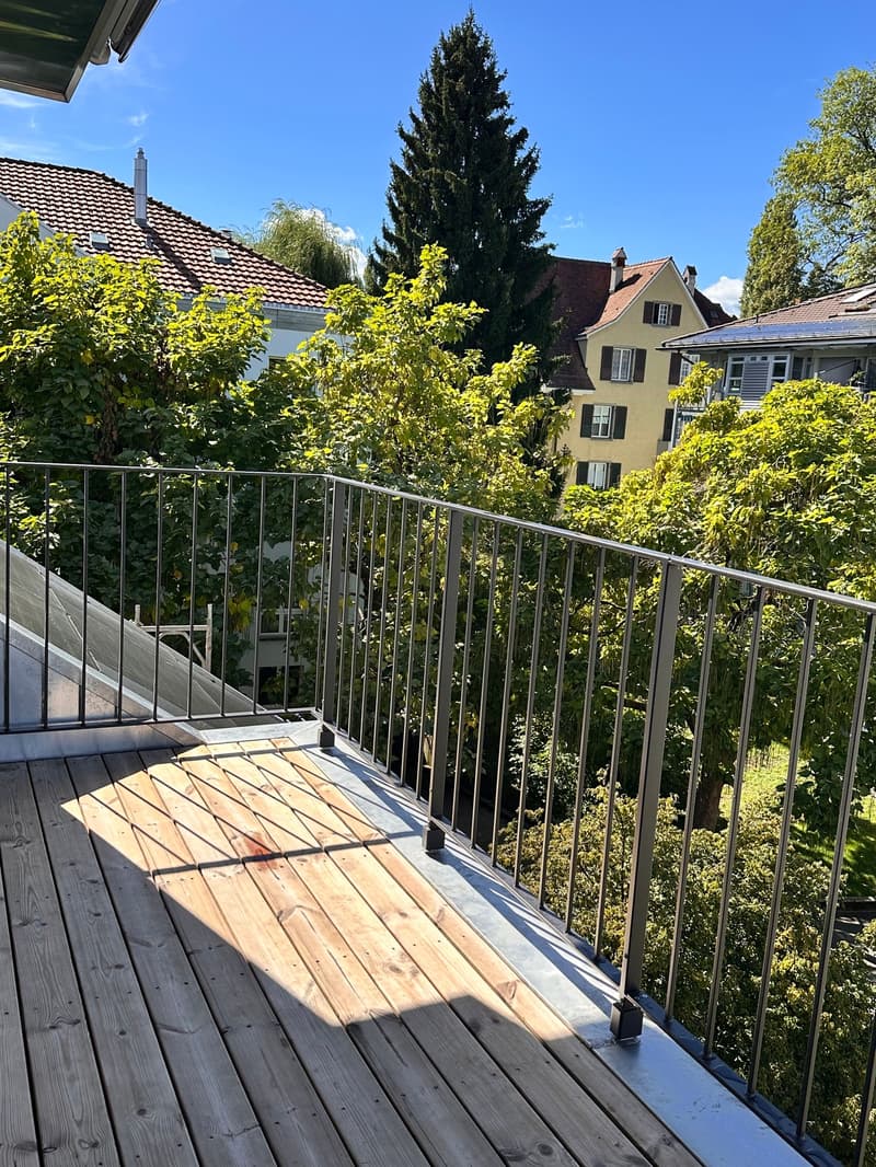 Neue 1-Zimmer-Loftwohnung (5)