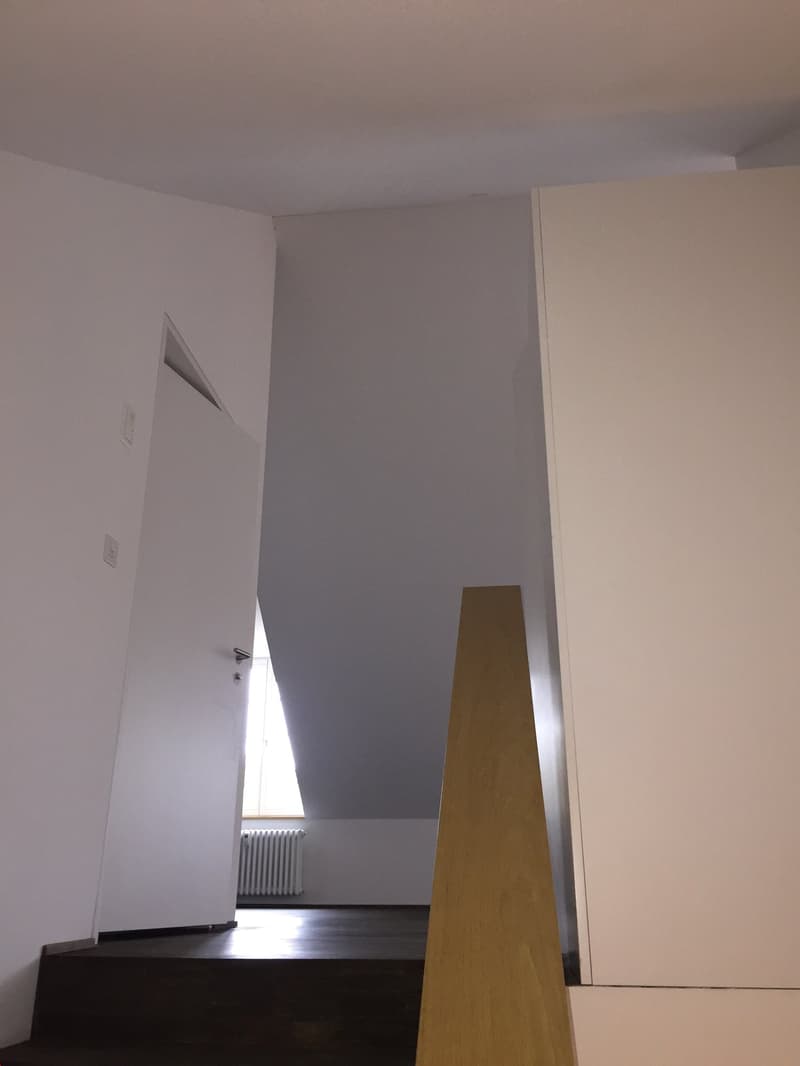 Aussergewöhnliche Dachwohnung mit Balkon (5)