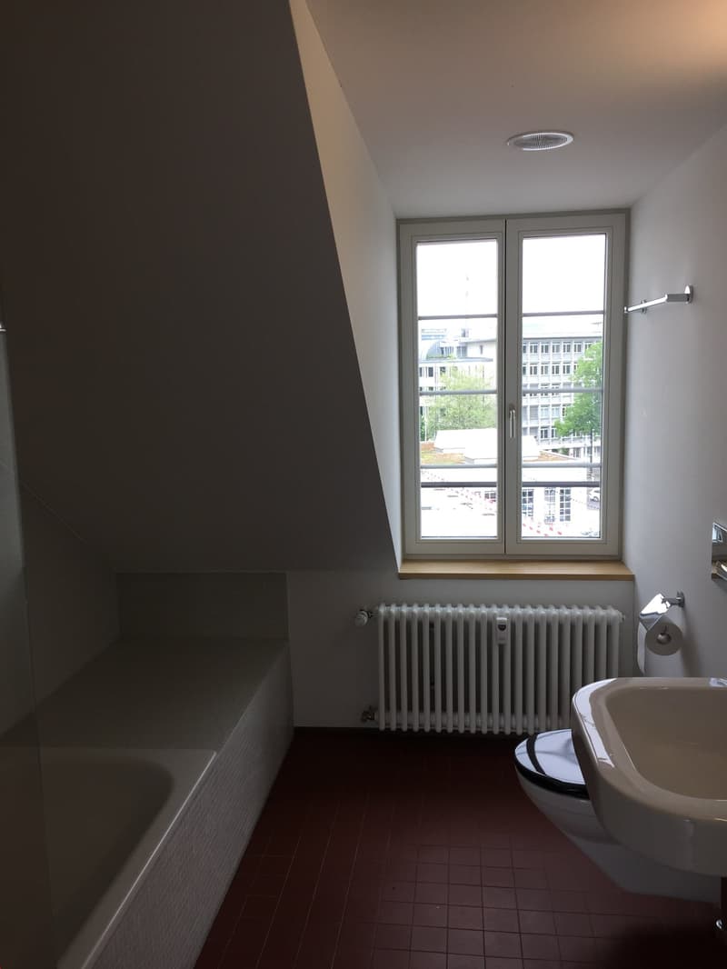 Aussergewöhnliche Dachwohnung mit Balkon (6)
