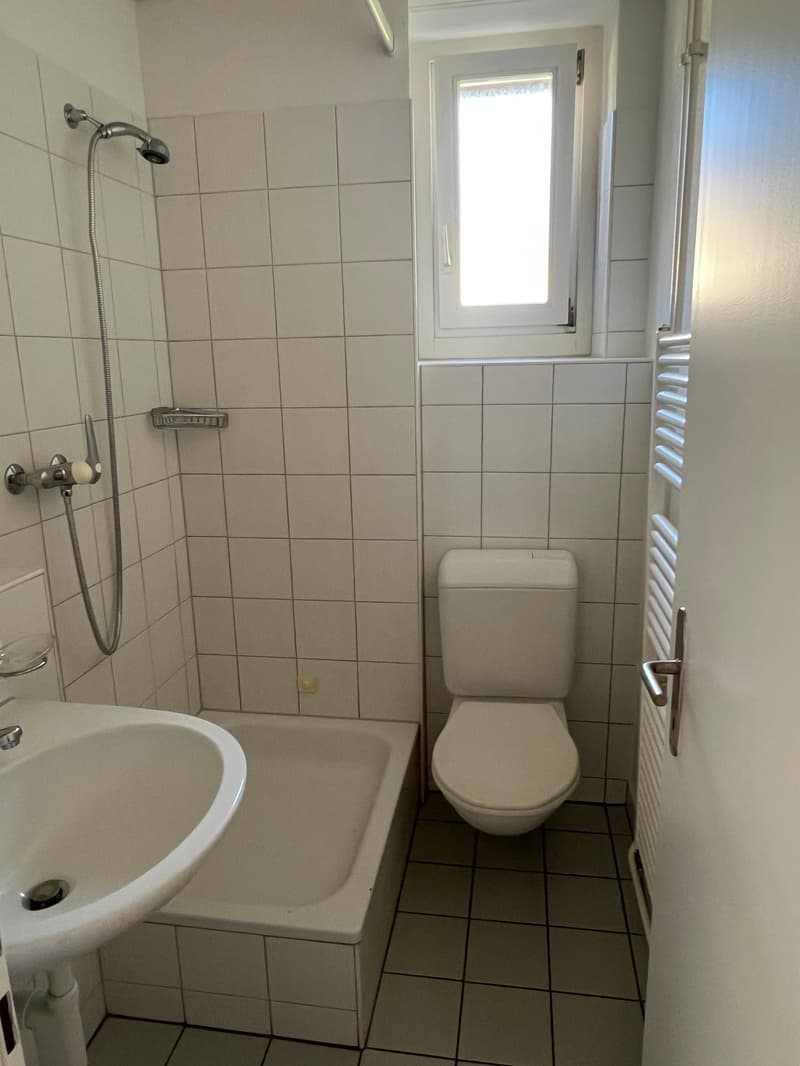 Gemütliche 1-Zimmer-Wohnung mit Vermietungskriterien zu vermieten (7)