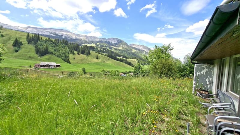 ruhiger Garten mit Potential zur individuellen Gestaltung