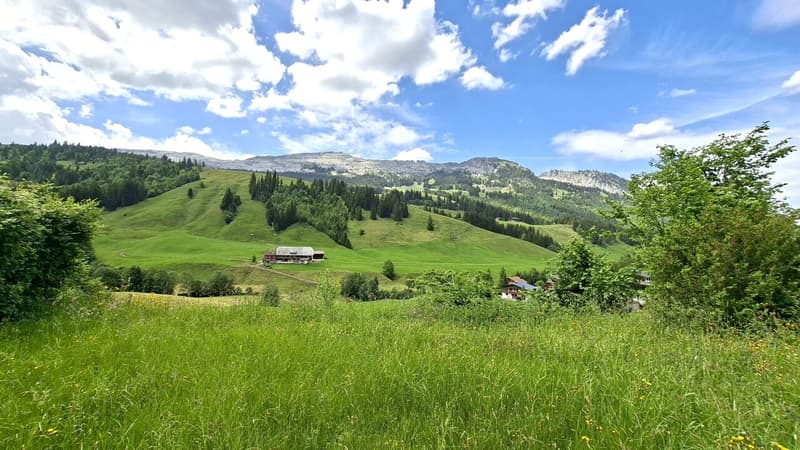 atemberaubende Aussicht auf die Schrattenfluh