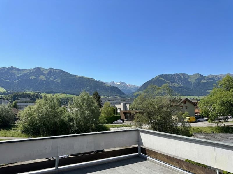 Meraviglioso appartamento in attico con grande terrazza e vista panoramica (3)