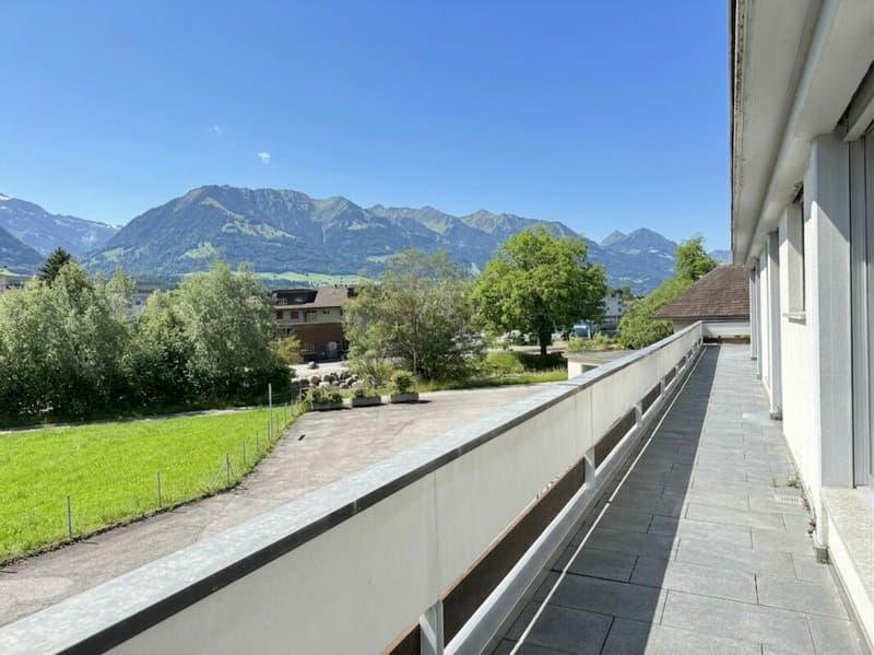 Meraviglioso appartamento in attico con grande terrazza e vista panoramica (4)