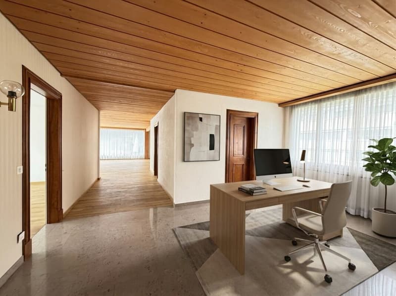 Meraviglioso appartamento in attico con grande terrazza e vista panoramica (7)