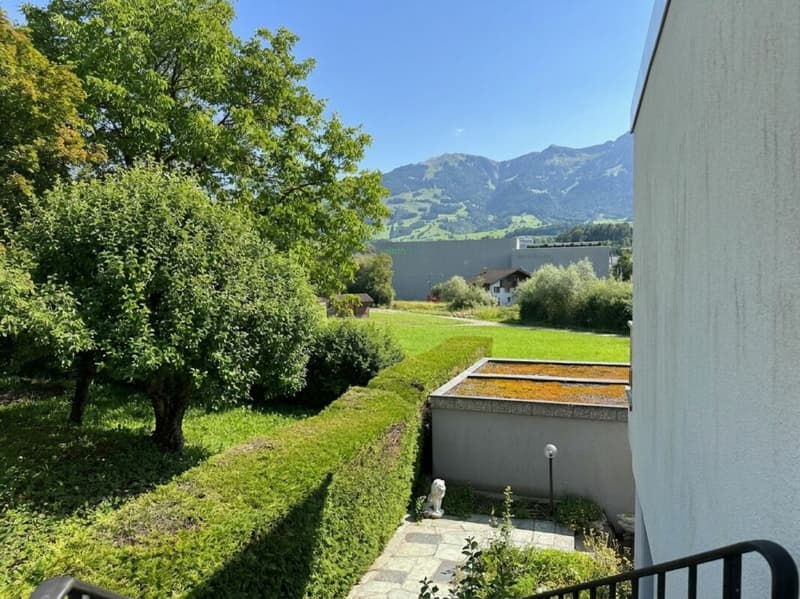 Meraviglioso appartamento in attico con grande terrazza e vista panoramica (14)