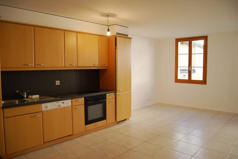 Rental Income Building in St-Maurice (4)