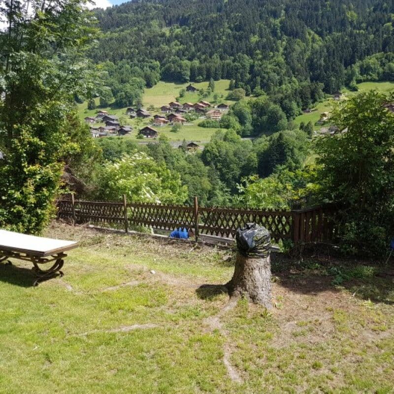 Chalet di 3 appartamenti, ideale per rendita (2)