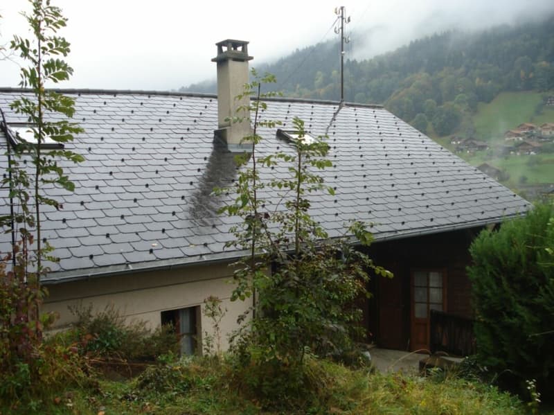 Chalet di 3 appartamenti, ideale per rendita (3)