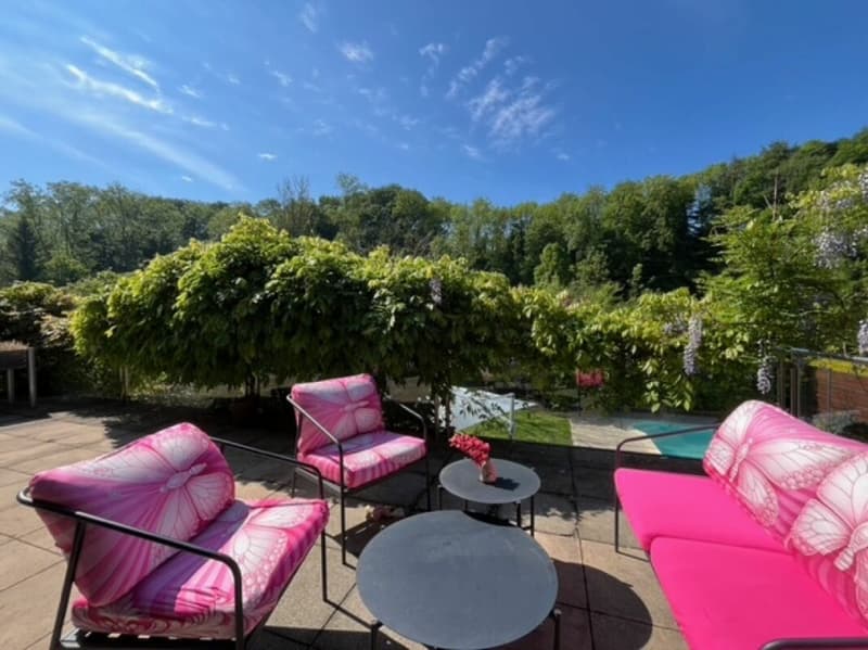 Villa magnifica con piscina a Valeyres-sous-Montagny (8)