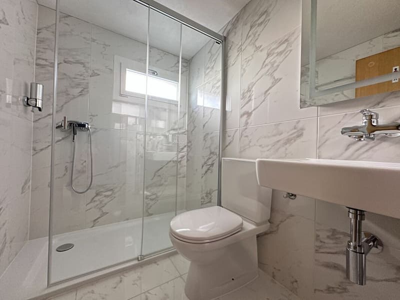 Casa indipendente con possibilità di attività indipendente e grande terrazza (19)