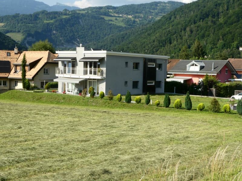 Appartamento al piano terra con 5.5 locali in affitto (1)