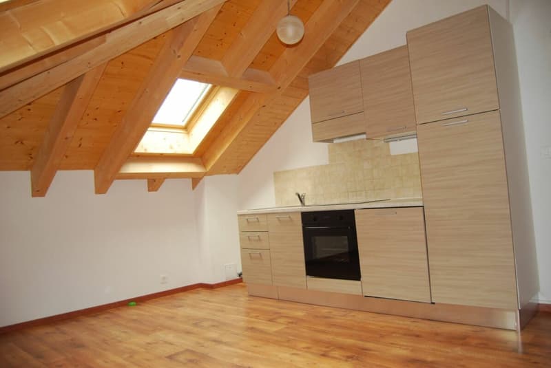 Rental Income Building in Vernayaz (4)
